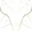 I Naturali Calacatta Michelangelo Soft Touch B. M.* 162х324 12+