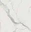 I CLASSICI STATUARIO SOFT 60x60 R