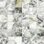 Forte Dei Marmi Quark Ceppo Apuano Forest Mosaic