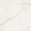 Forte Dei Marmi Quark Sahara Blanc 80x80 Lappato