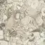 Forte Dei Marmi Ceppo Apuano Cream Rett 80x80