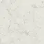 Charme Extra Carrara Ret 60x60/Шарм Экстра Каррара Рет 60х60 (610010001188)