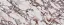 I Naturali Calacatta Viola Naturale 5 Mm 120x300