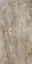 RAIN FOREST NATURAL PULIDO 59X119